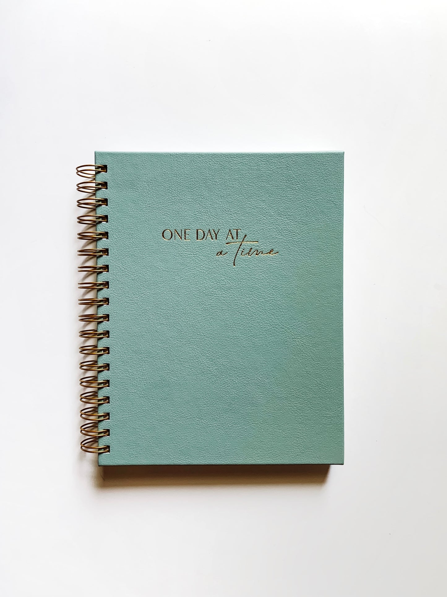 Tiffany Monthly Goals Notebook