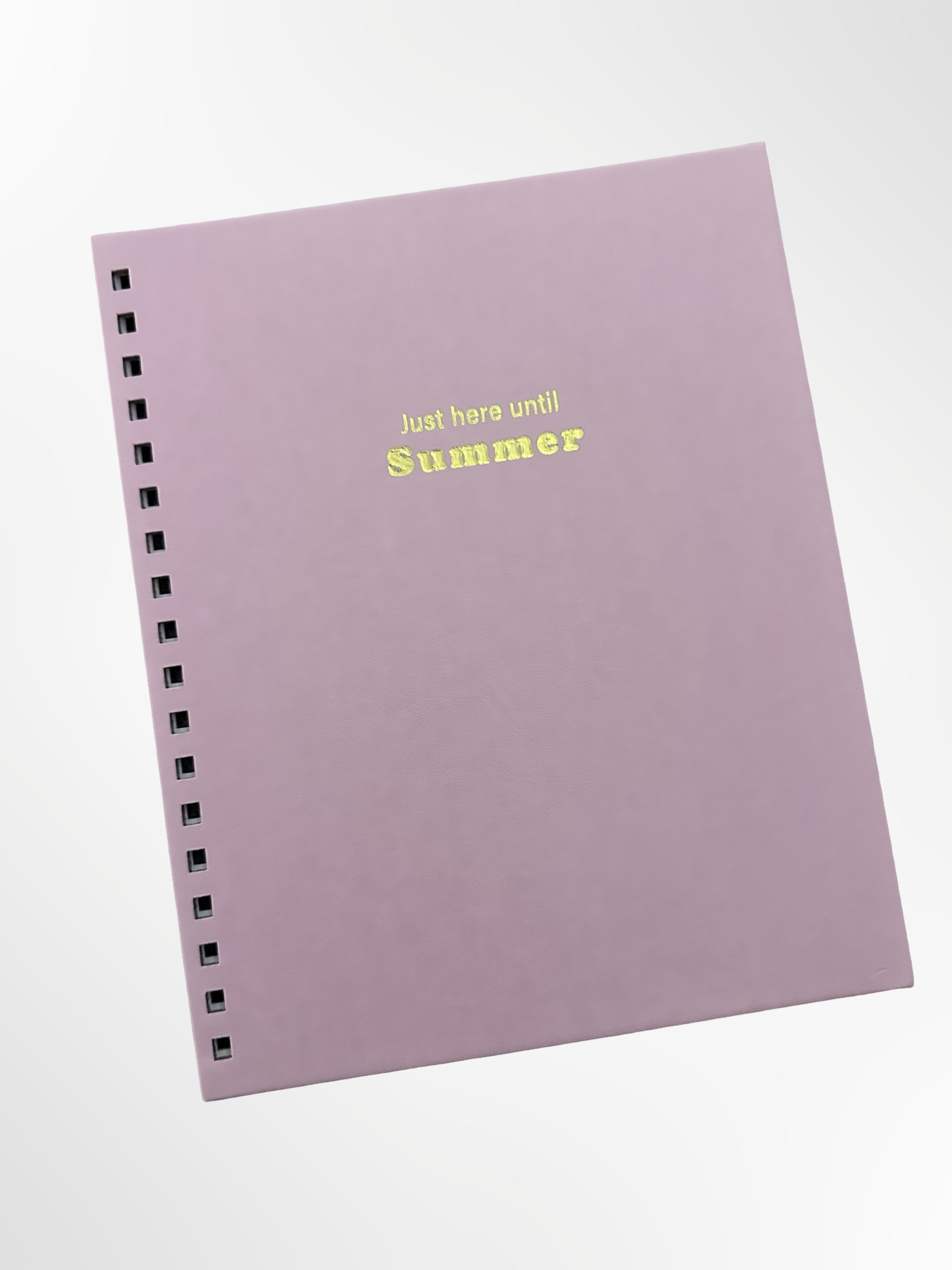 Ready to go Teacher Planner - Pink "Just here until Summer "