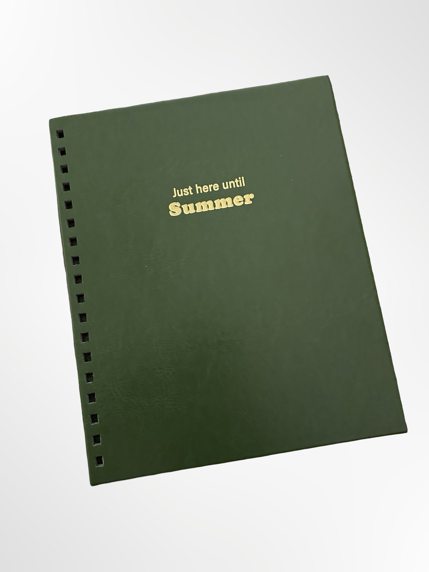 Ready to go Teacher Planner - Emerald "Just here until Summer "